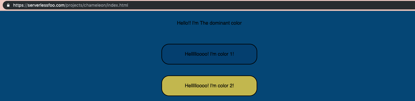 Screenshot of chameleon site