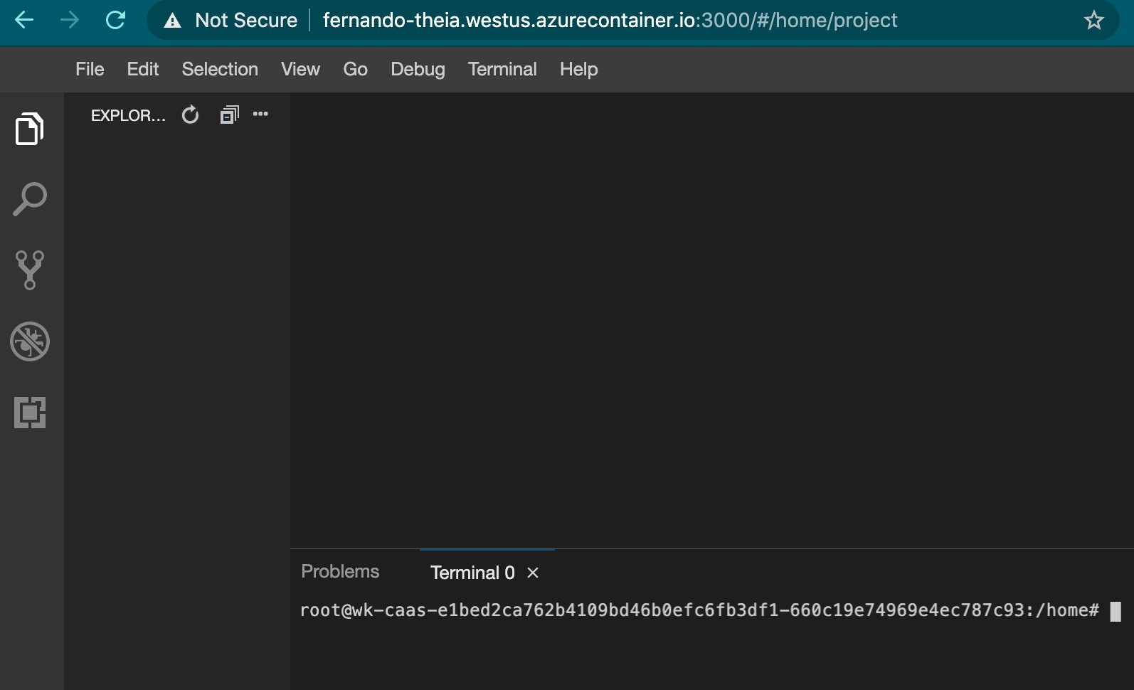 Screenshot of Theia container running in my browser