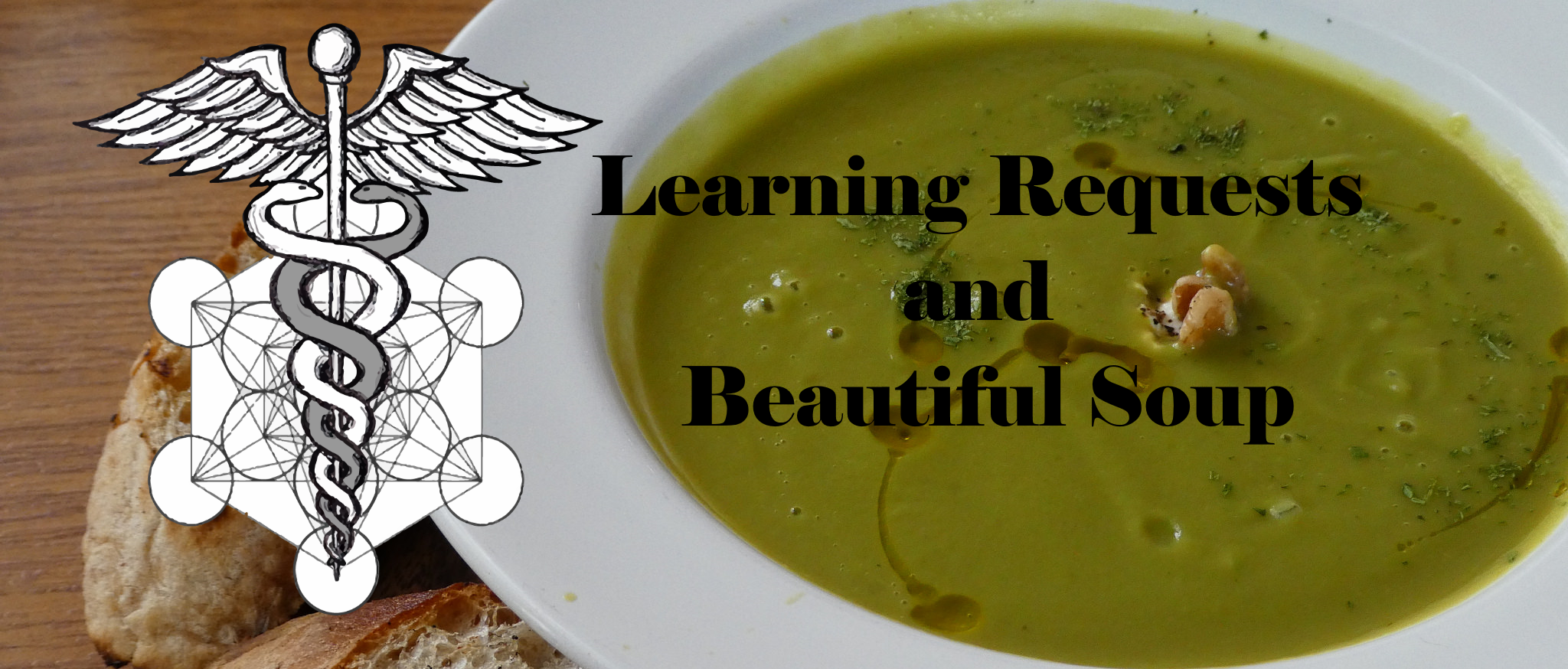 Python Requests and Beautiful Soup - Playing with HTTP Requests, HTML Parsing and APIs